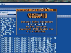 10 MARC - Newtek Digiview