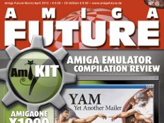 Amiga Future #95