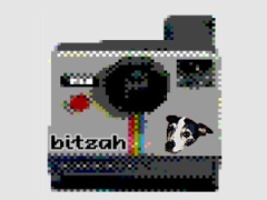 Bitzah Retro Pixel Camera