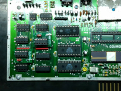 Steve Guidi - C16 64 kB RAM