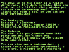 The Awakening - C64