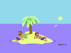 The Sunny Side - C64